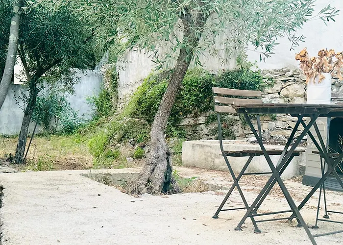 Au Petit Paradis فيلة